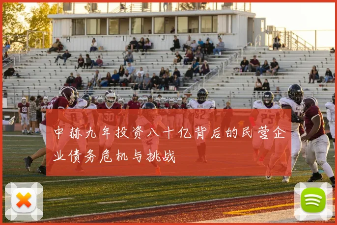 中赫九年投资八十亿背后的民营企业债务危机与挑战