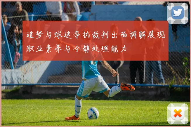 追梦与球迷争执裁判出面调解展现职业素养与冷静处理能力