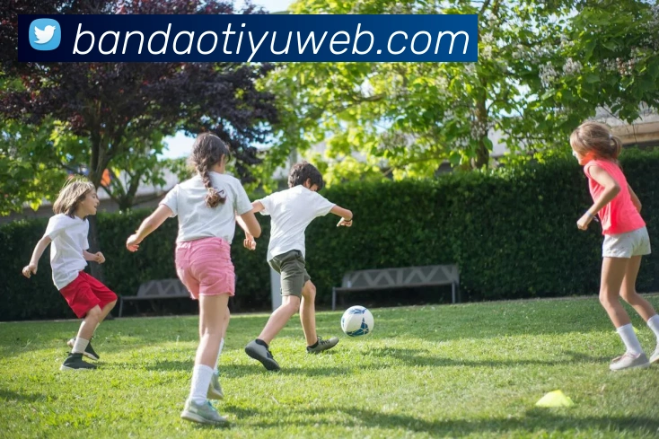 半岛体育APP 高清赛事图