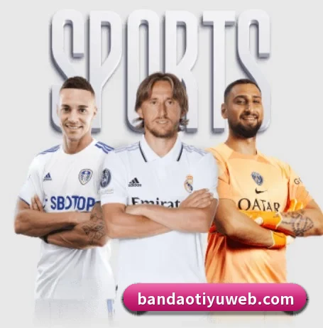 我们在做什么（bandao）